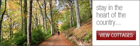 Banner CLICK HERE to start planning youe cottage holiday